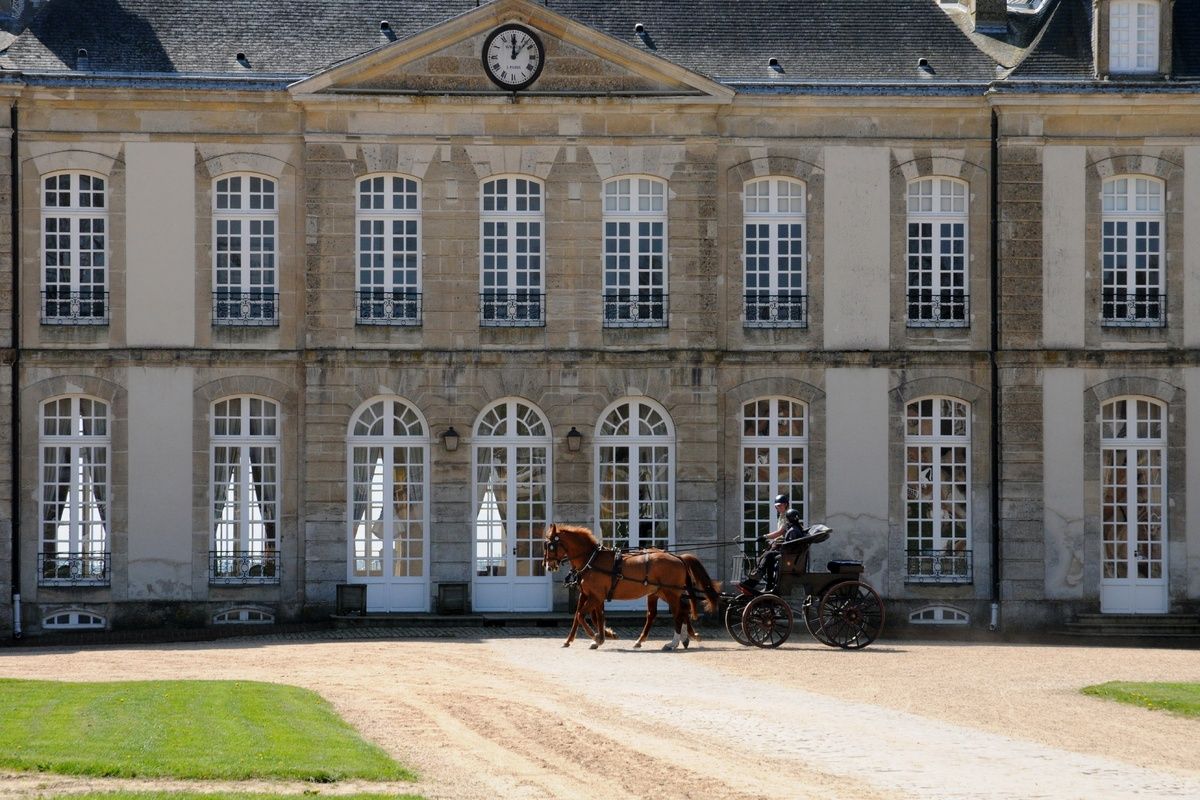 le haras du pin