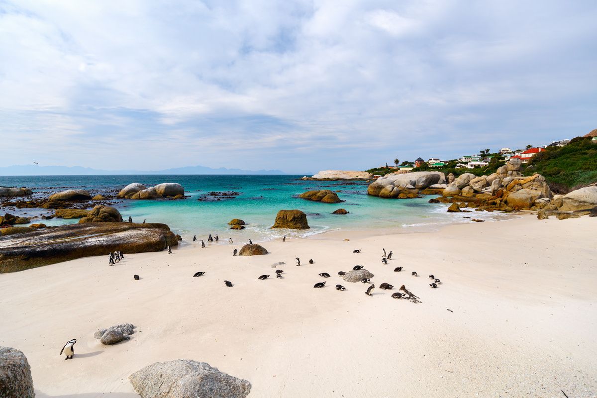 Boulders Beach