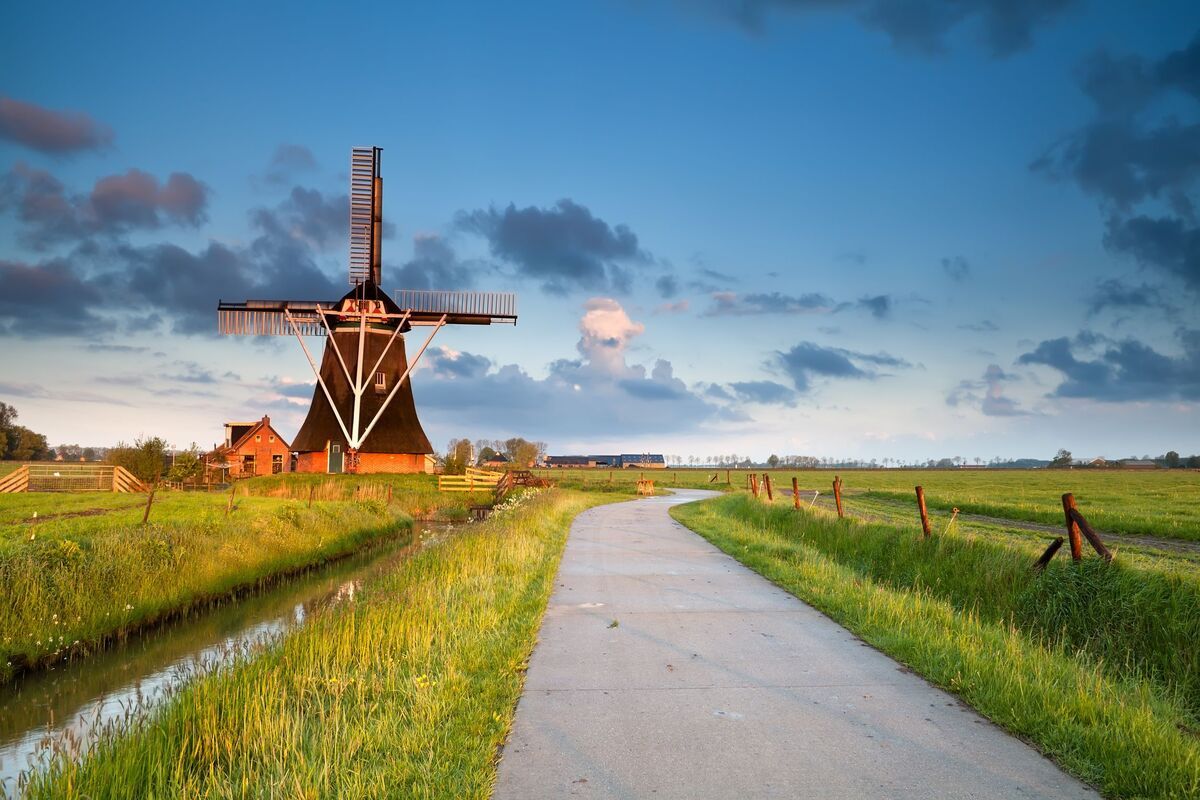 Typische Nederlands landschap met molen en weide