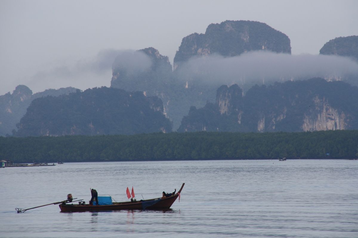 Thaise natuur bij Krabi Town
