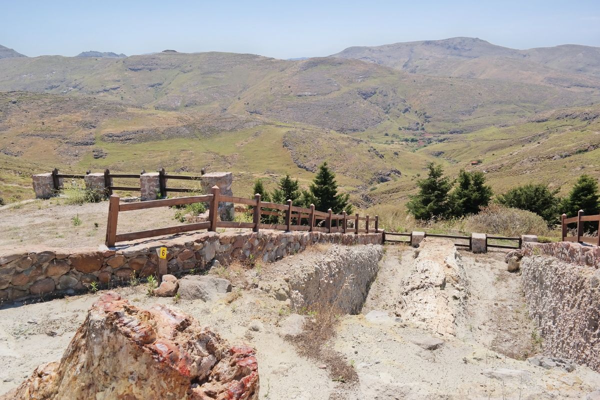 Versteende woud Lesbos, Griekenland