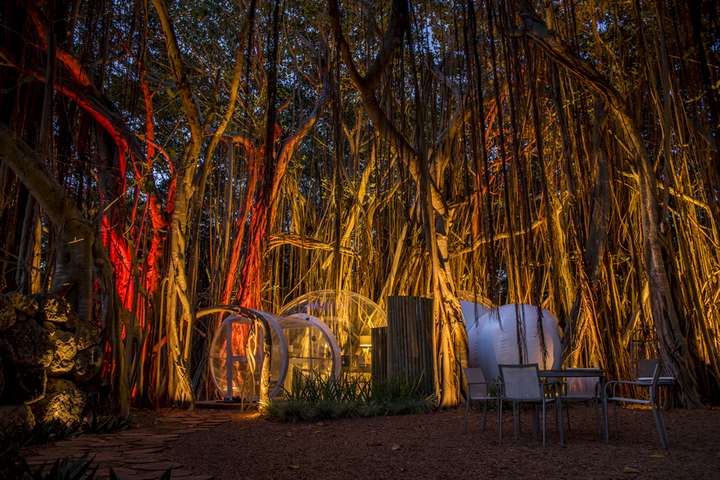 De indrukwekkende Banyan Tree BUBBLE