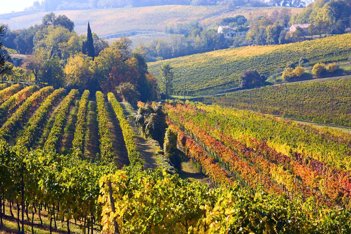 Landschap Emilia Romagna, Itali�