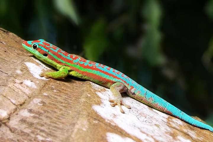 Natuurreservaat le Ronde