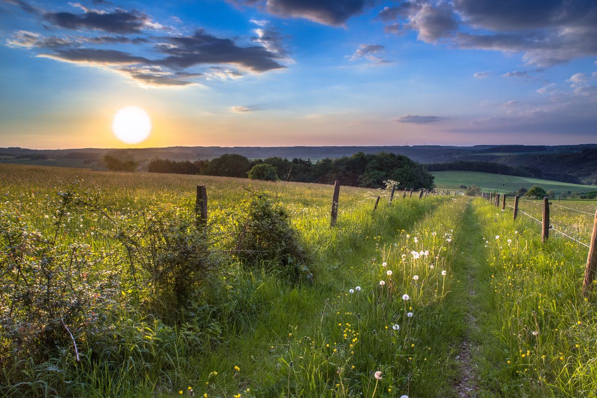 Landschap in de Eifel