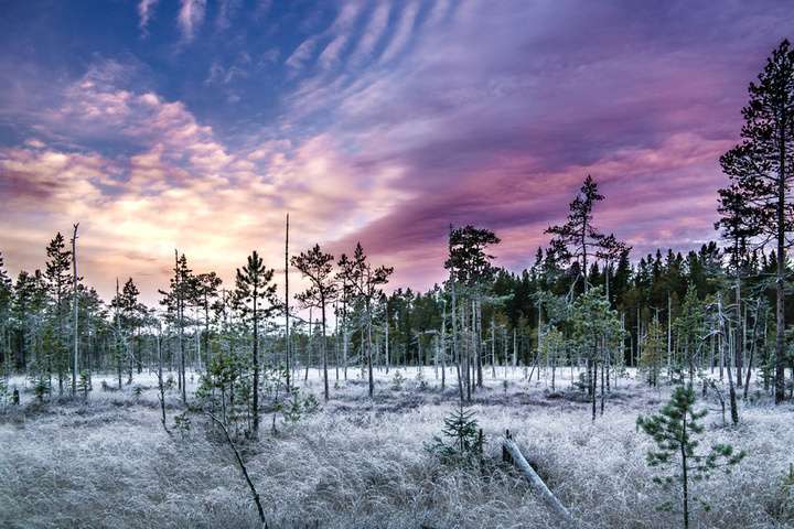 Prachtig landschap Midden Zweden