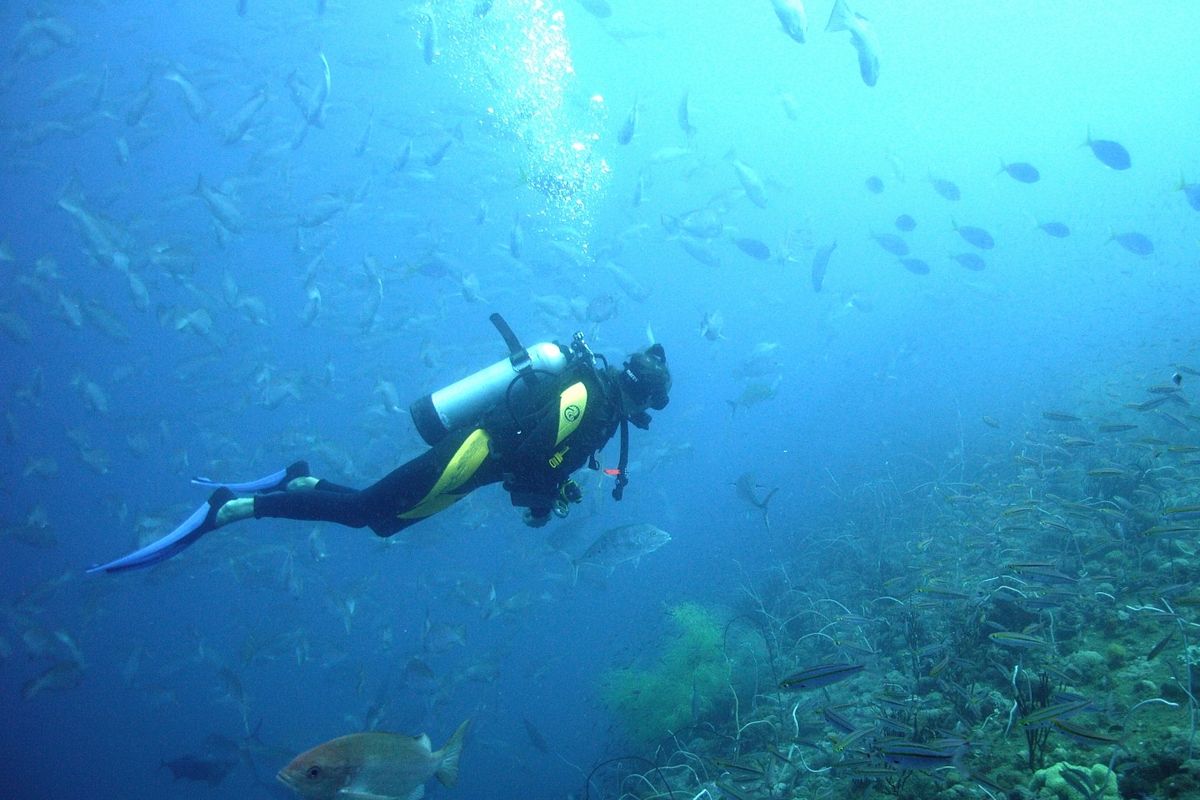 Duiken in Australi�