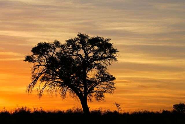 De 9 provincies van Zuid-Afrika