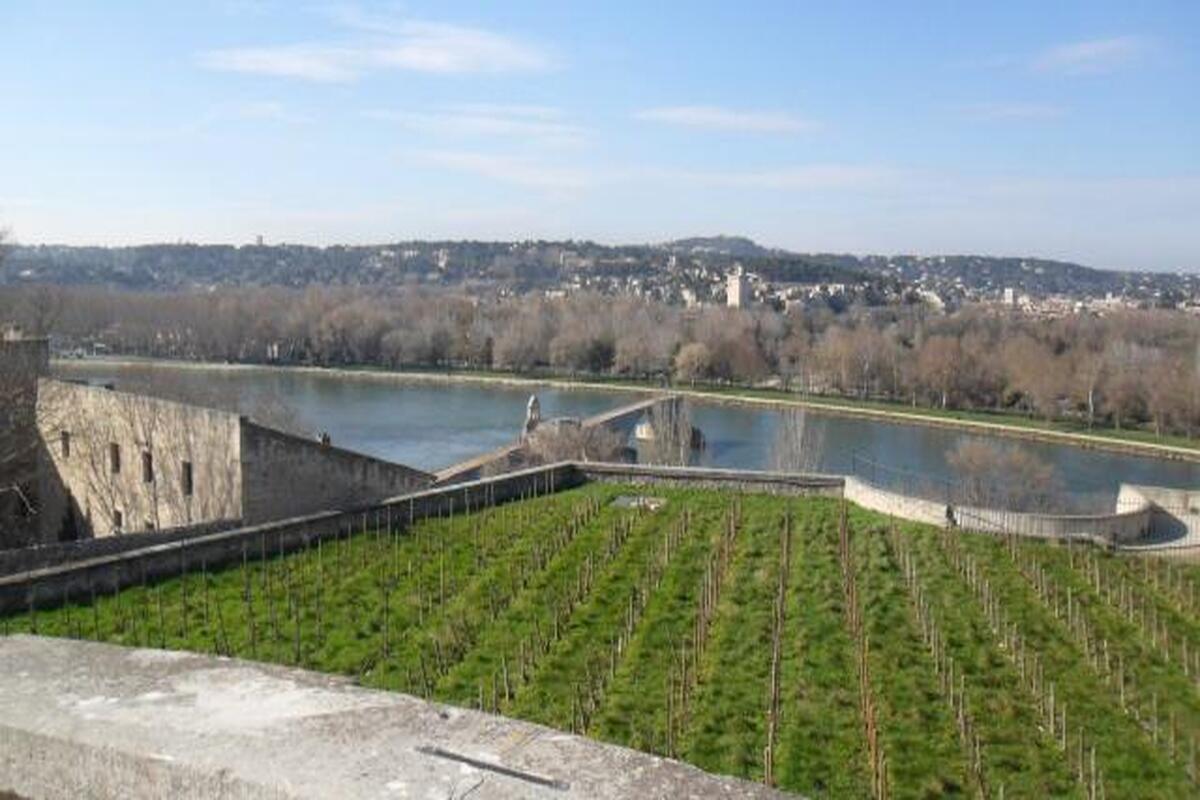 Avignon, Studentenleven Frankrijk