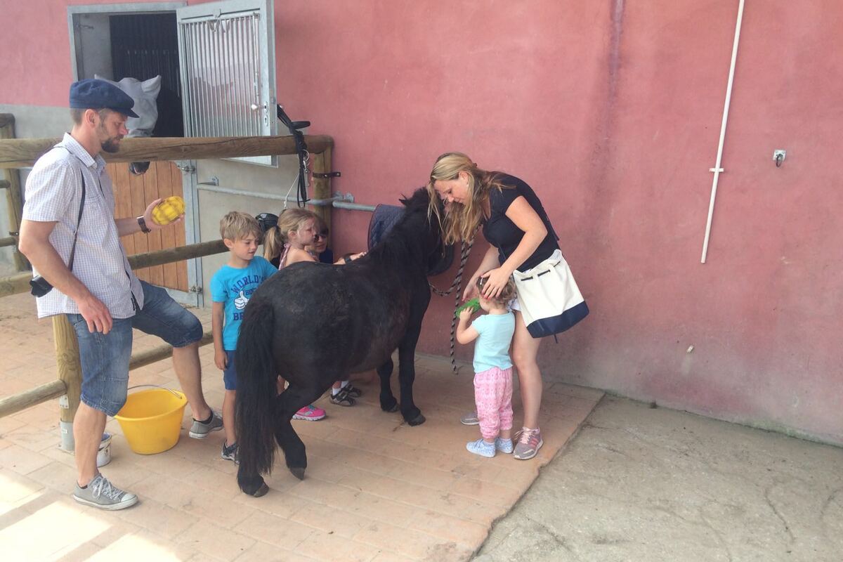 Meehelpen bij de paarden
