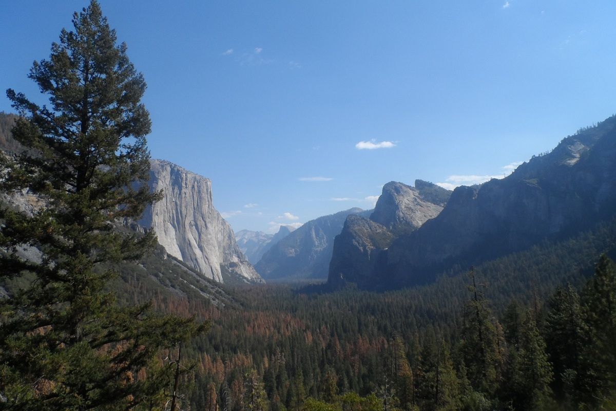 Foto van deze vakantie