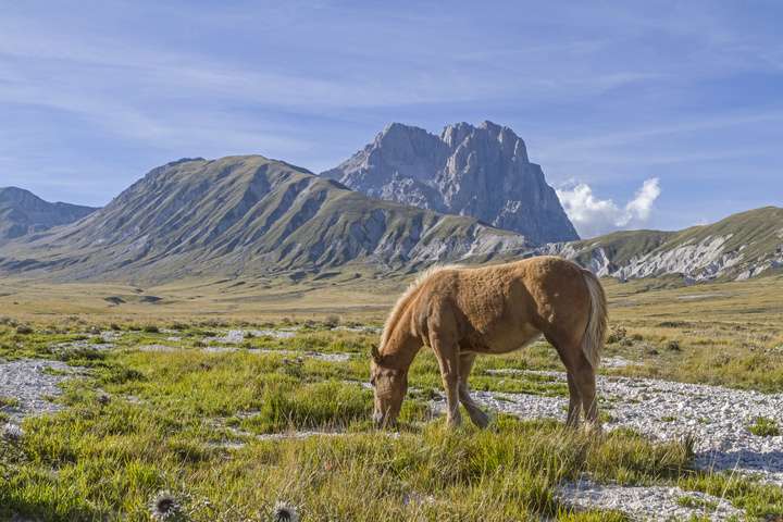Nationaal Park Abruzzo