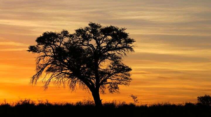 Zonsondergang in Zuid-Afrika