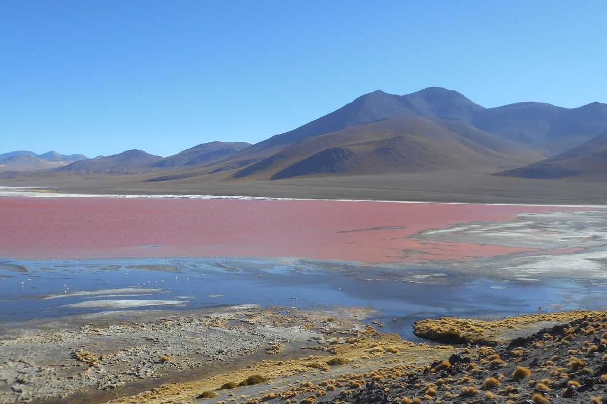 Laguna Colorada