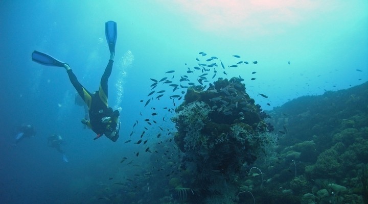 De onderwaterwereld van Guadeloupe