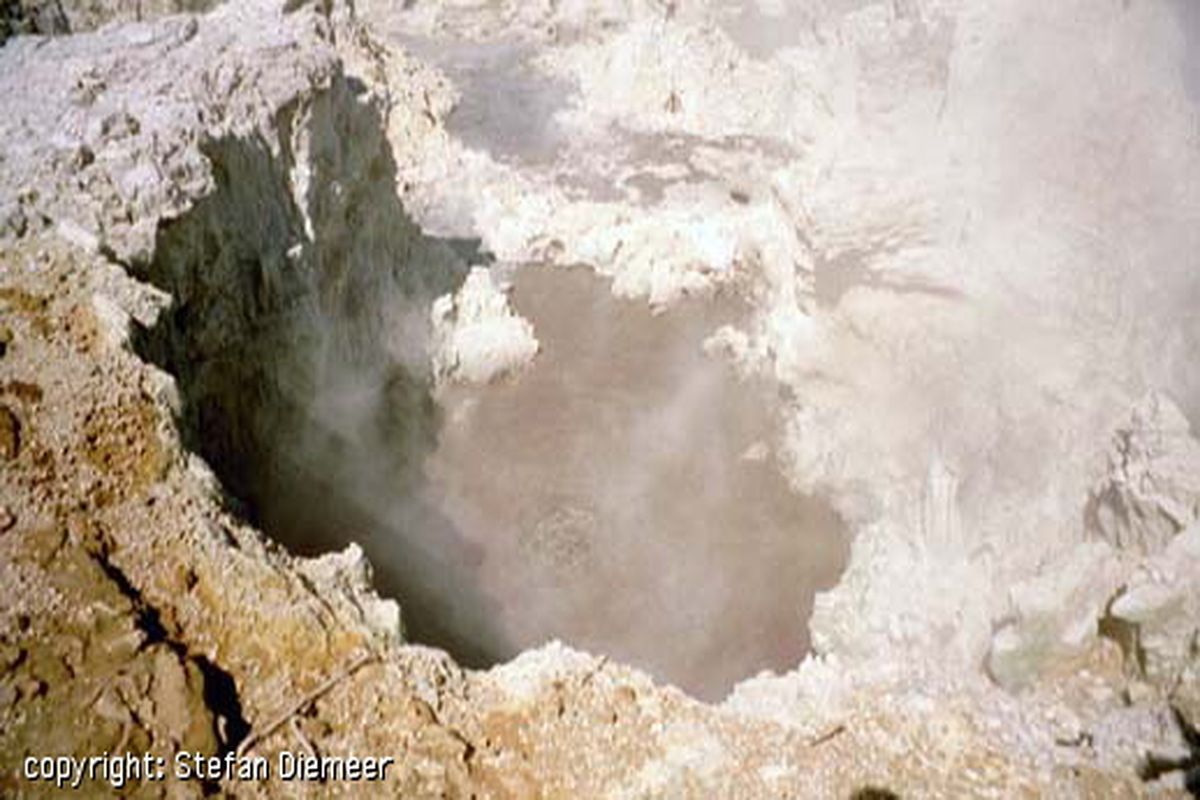 Rotorua Hells Gate, rondreis Nieuw-Zeeland