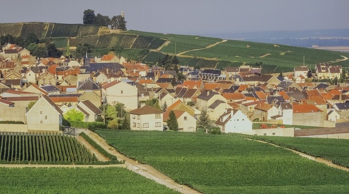 Landschap Champagnestreek