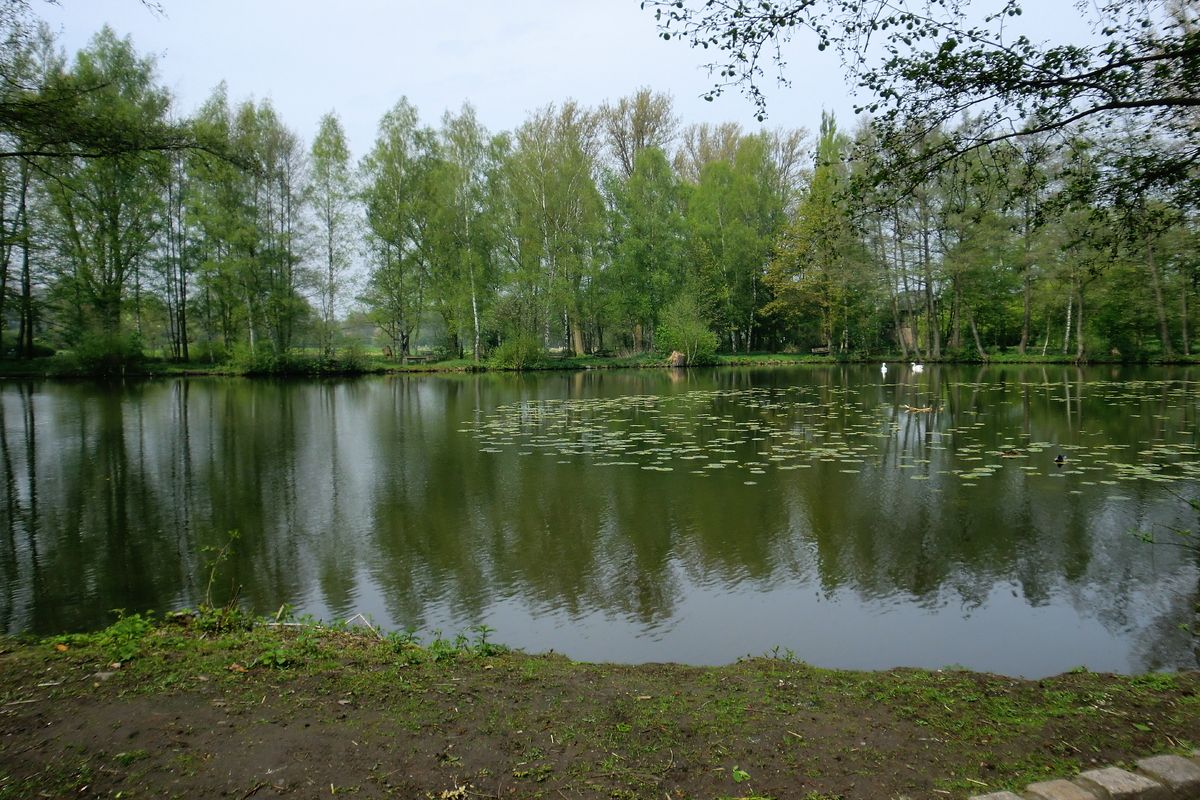 Vijver in het Ruhrgebied