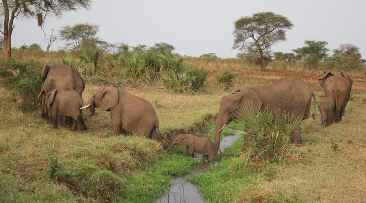 Nationale parken in Benin