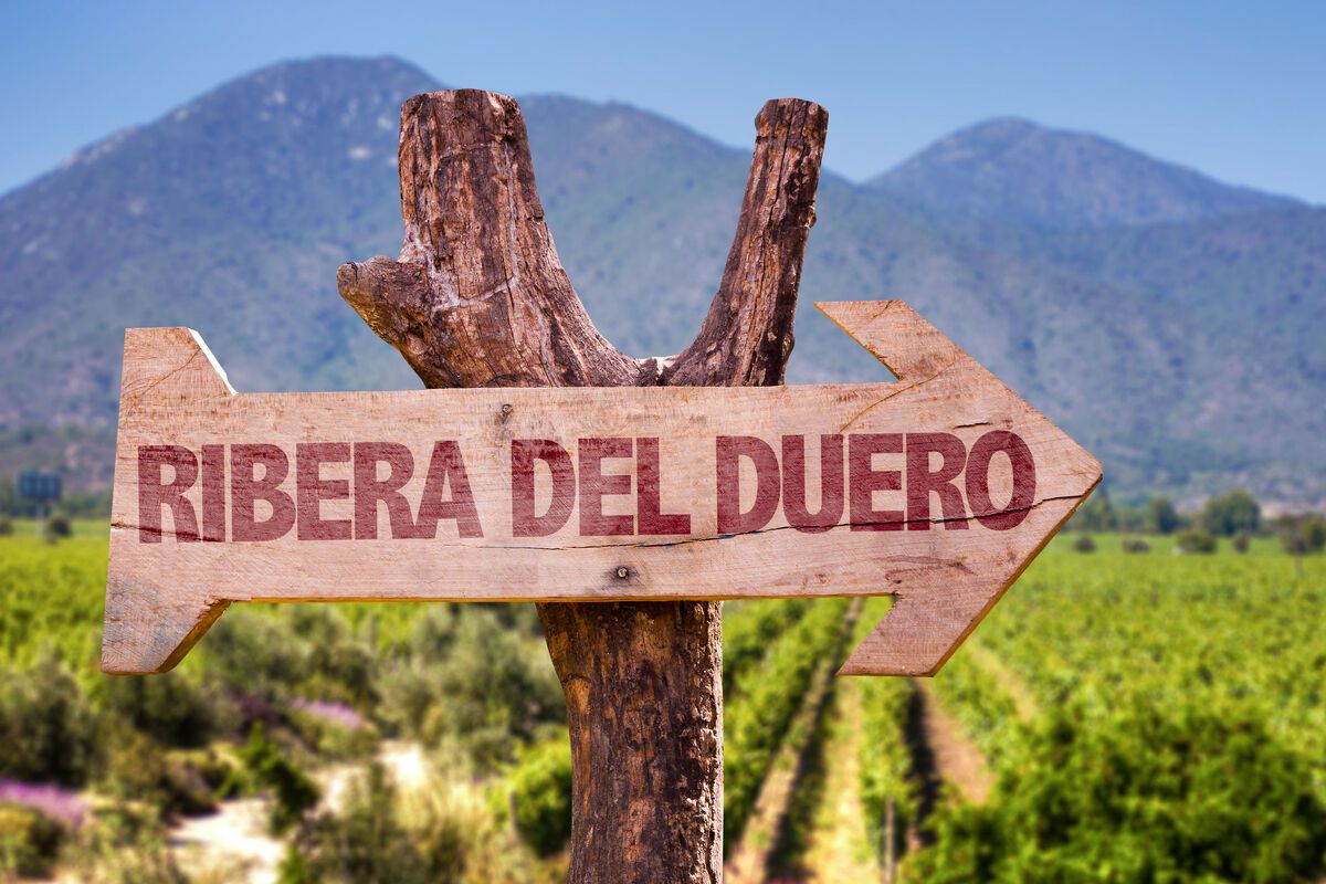Ribera del Duero
