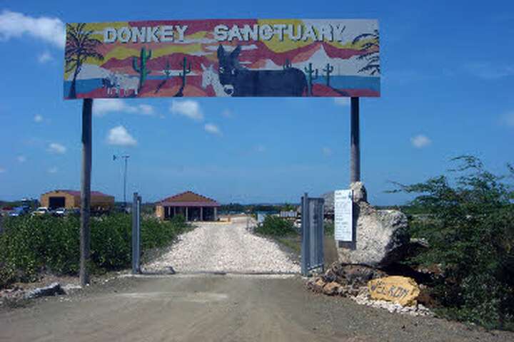 Donkey Sanctuary Bonaire