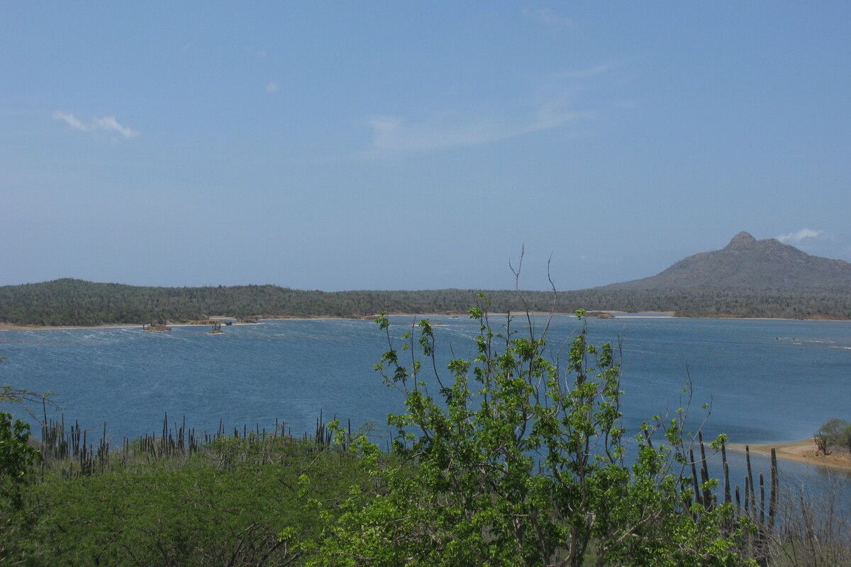 Het Goto Meer gelegen in het Washington Slagbaai National Park