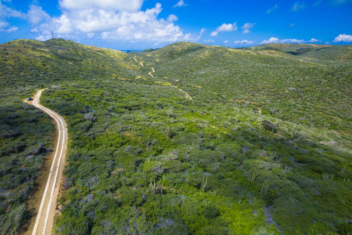 Arikok National Park, credits Aruba Tourism