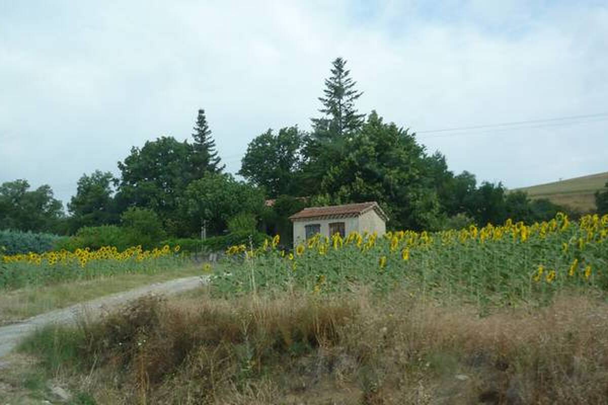 Foto van deze vakantie