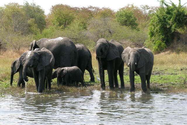 Nationale parken in Malawi
