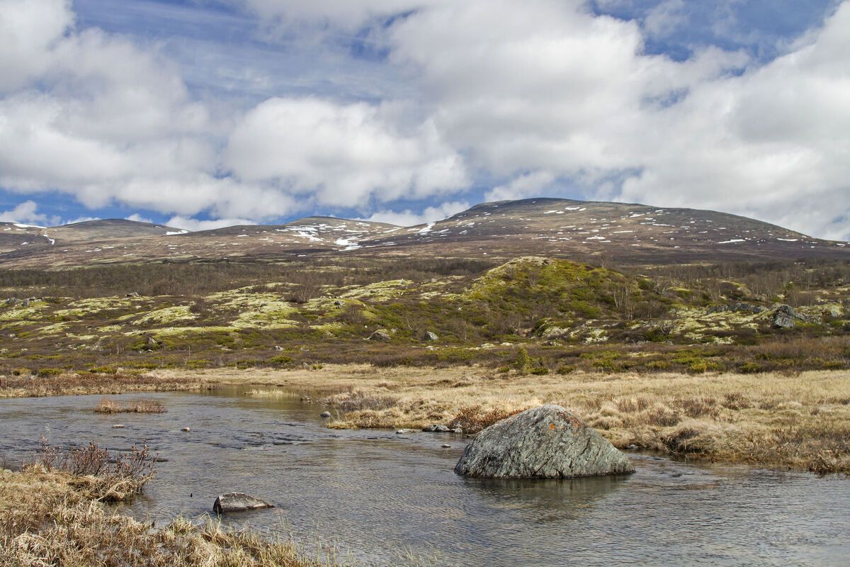 Dovrefjell, landschap Noorwegen