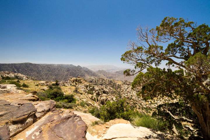 Het Dana Natuurreservaat