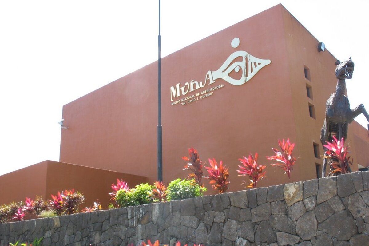 David J. Guzmán Museum of Anthropology