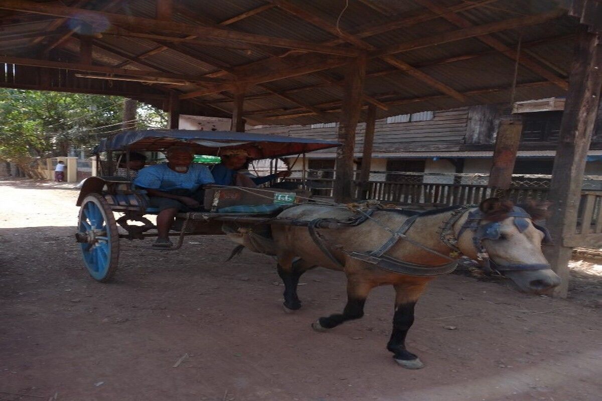 Klein dorp Myanmar, paard-en-wagen