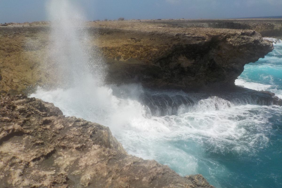 Washington Slagbaai National Park