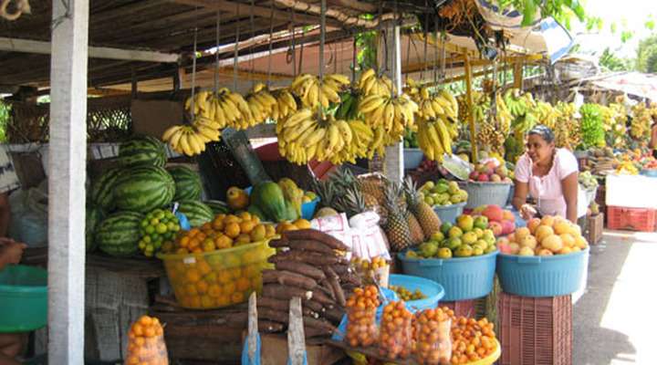 Braziliaans fruit